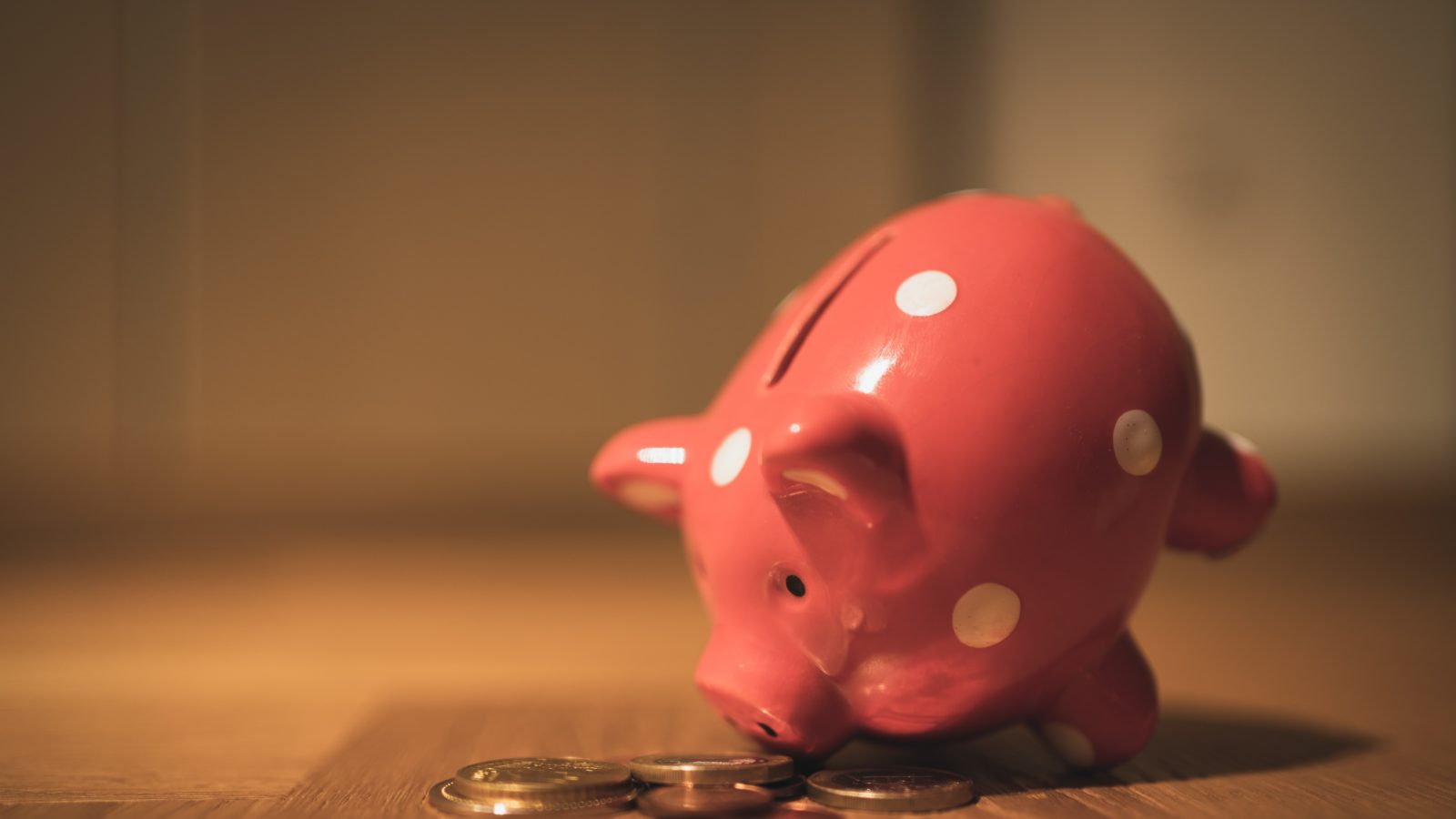 Piggy bank represents shared assets