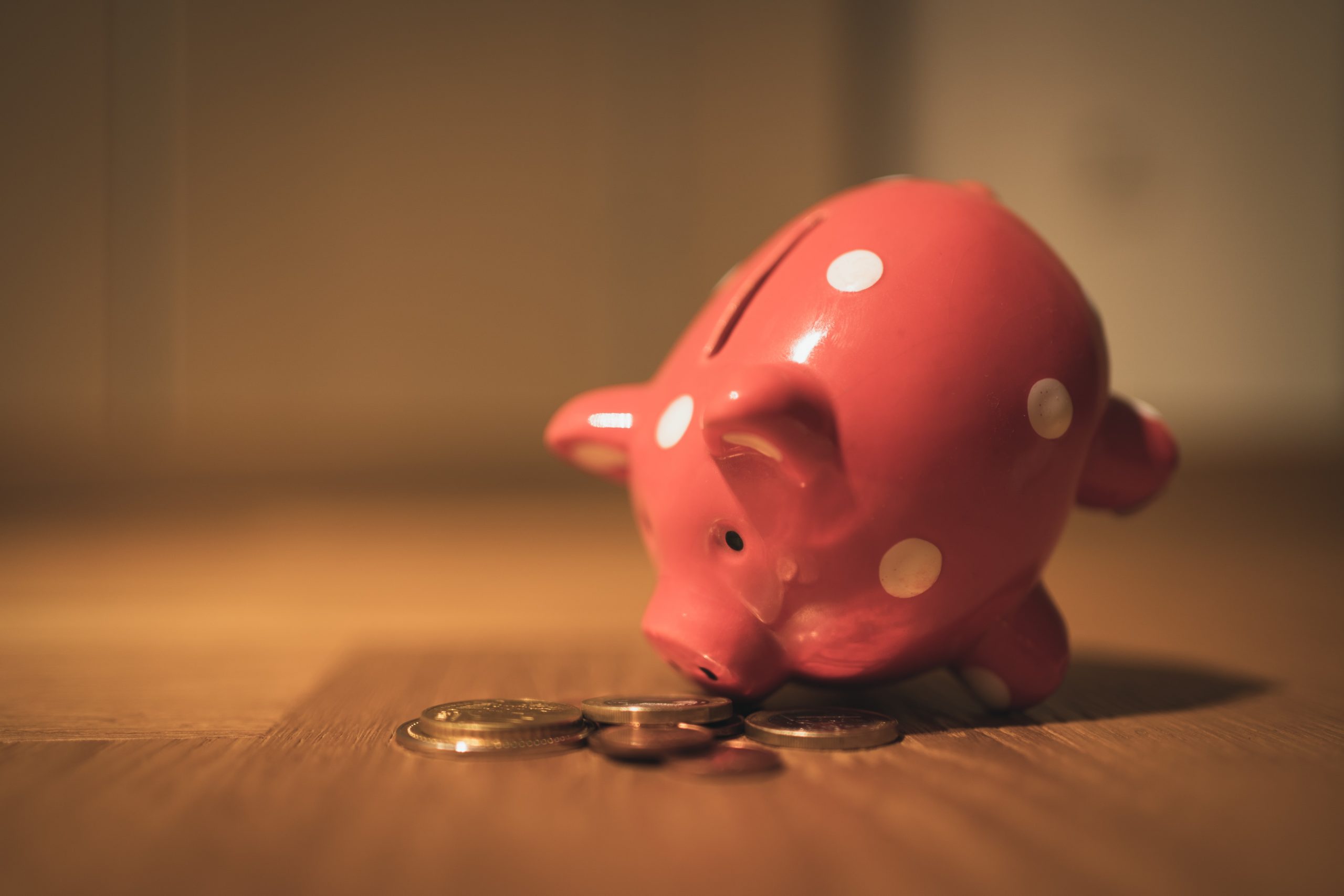Piggy bank represents shared assets