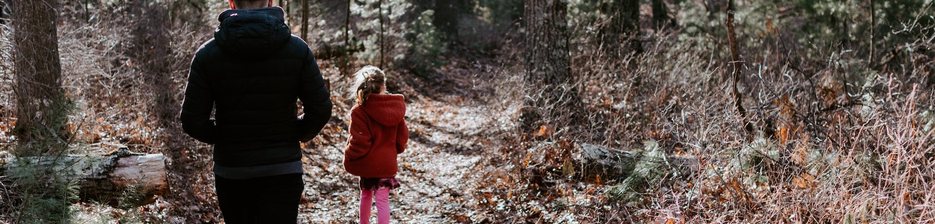 photo of father and child walking in woods representing parental alienation from other parent
