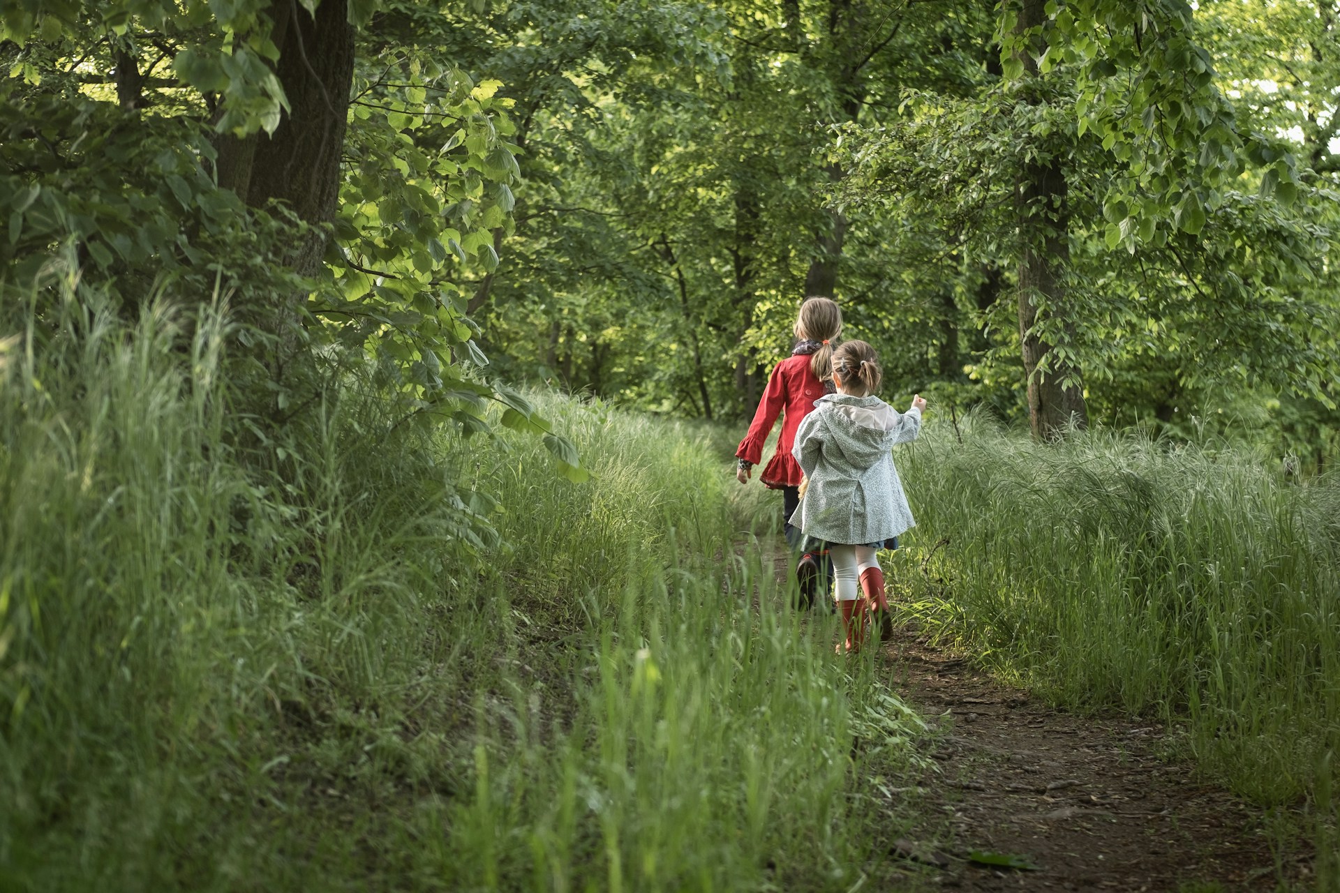 Two little girls follow a narrow path through long grass in a thick forest, representing changing parenting arrangements after separation.